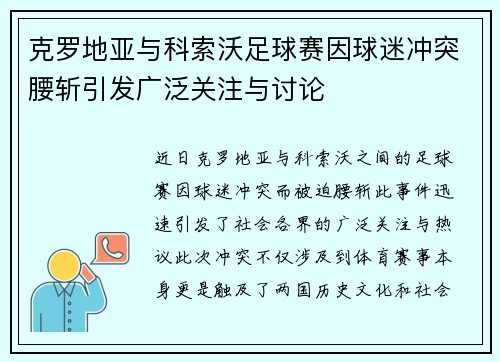克罗地亚与科索沃足球赛因球迷冲突腰斩引发广泛关注与讨论